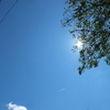 見上げたお空に ひこうきぐも