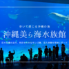 沖縄美ら海水族館を歩く｜巨大水槽や色彩豊かなサンゴ礁エリアなど人気の理由を現地レポート