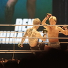 超RIZIN3現地観戦！朝倉未来138秒敗戦の衝撃！19歳の平本蓮に答えがあった