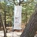 白鳥神社の直書き御朱印の魅力と「日本一低い山」を徹底紹介