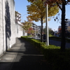 激震のワンズに奇跡降臨ミラクルズ紅葉