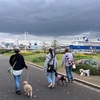 2026年4月22日🐾 今日のマヤ暦