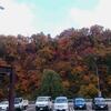 関越…  塩沢石打PA… 紅葉見頃♪