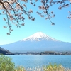 山梨・雪富士と桜・4月09日