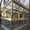 鶏小屋、小屋らしくなってきましたw