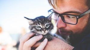 猫ちゃんとおうちでのんびり そんなときに使える英語表現 English Journal Online 猫ちゃんとおうちでのんびり そんなときに使える英語表現 English Journal Online