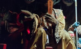 記事を見る