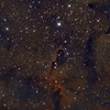 IC1396 ケフェウス座 象の鼻星雲