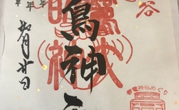 記事を見る