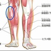 あわや故障か！？と大阪マラソンまでの調整メニュー