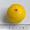 王の居るトコロは問題の巣窟