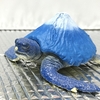 山のようなカメ！🐢マウンテンタートルズ！