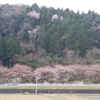 やわらかい雨の朝