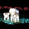 さくらのご褒美デーはこちらへ～東武動物公園ウインターイルミネーション～