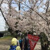 健康ウォーク2015春「洲原公園と刈谷ハイウェイオアシス」