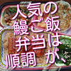 今日の女将弁当は、鰻弁当、お弁当の準備は順調だったのですが、思わぬところでつまずきました。