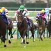 6.12  中央競馬　注目馬