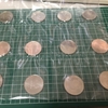 東京オリンピック記念百円硬貨をもらってきた＆記念硬貨の保管方法