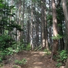 物見山 はお城ですか？　小倉城～物見山～青山城 縦走　1