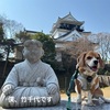 エアコンクリーニング