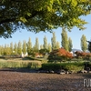 秋の会津大学『水辺の公園』紅葉写真散歩してきました！