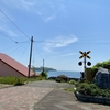 脳MRI異常なし