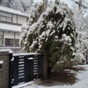 また雪が降るのか・・？