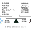 12月16日（水）ノーといえる腸