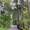 【軽井沢】 食事をするなら…