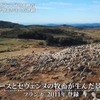 石灰岩が織りなす絶景と絶品のブルーチーズ！コース地方