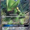 ポケモンカードのフェアリーライズの中で  どのカードが最もレアなのか？