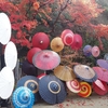 秋の明日香村 西国三十三所第七番札所 岡寺へ紅葉狩りライド！ 日本で最初の厄除け霊場