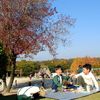 近くの公園へ