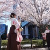 🌸桜巡り🌸飯田橋サクラテラス→靖国神社→江戸川橋関口神田川