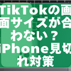 【2025年最新】TikTokの画面サイズが合わない？iPhone見切れ対策まとめ