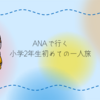 ANAのジュニアパイロットで行く小学2年生初めての一人旅体験記