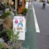 三茶でキノコ狩り！？