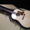 Gibson J-35 11/17