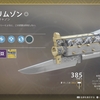 『Destiny2』第１7回　エキゾチック装備のすゝめ　～クリムゾン～