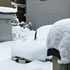 2月4日から5日朝にかけての積雪状況