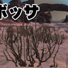 #Kenshi　s6_01：シーズン６「植物学冒険記」 始動