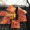 今夜の賄い:独り焼肉