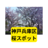 神戸桜スポット【まとめ】