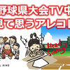高校野球県大会テレビ中継を見て思うあれこれ