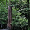 養老山地―鈴鹿山脈　横断（島津越え）