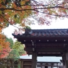 秋の箱根旅行｜紅葉で有名な長安寺と仙石原のすすき