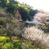 新四国曼荼羅霊場　桜 　第三十二番 極楽寺　( 2011-04-06 )　２