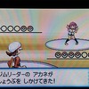 ポケモンSSプレイ日記