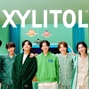 XYLITOL×BTS クリアファイルが貰える