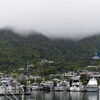 DAY#81 Picton - Ship Cove to Camp Bay (27)